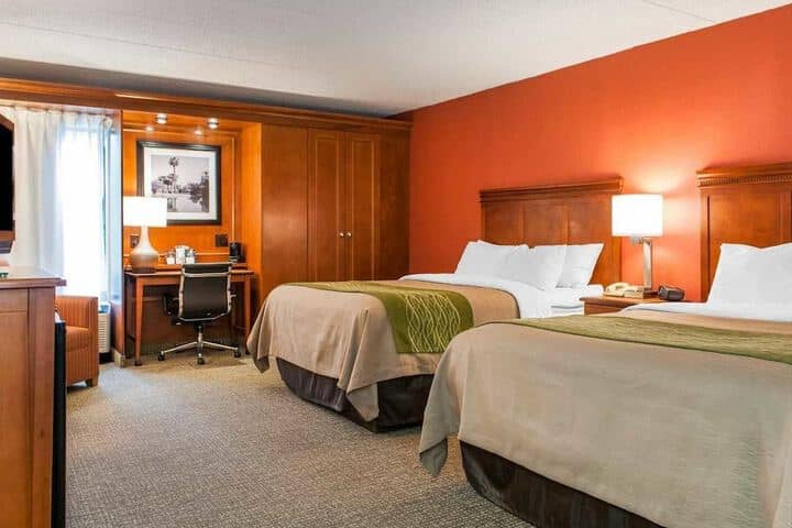 Room 4 of 31